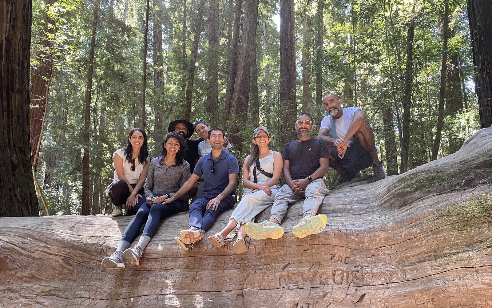 Last year's birthday trip among the California redwoods
